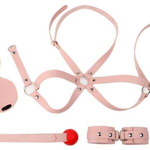 Obediencia Kit de Iniciación BDSM de 4 piezas rosa-KINKHARNESS (Fun Distri) EAN: 3662811260515
