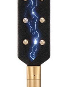 Pala Spank Eléctrica 40cm-ELECTROPLAYER (Fun Distri) EAN: 3662811575022